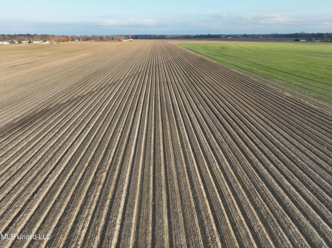 Bass Road, Louise, MS 39097 Main Photo