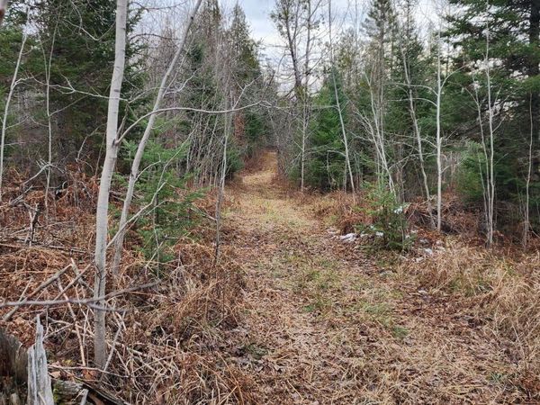 160 Trophy Ridge, Pickford, MI 49774