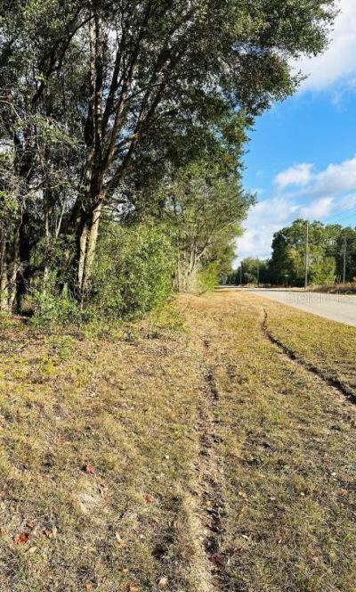 Se 141st Avenue, Ocklawaha, FL 32179
