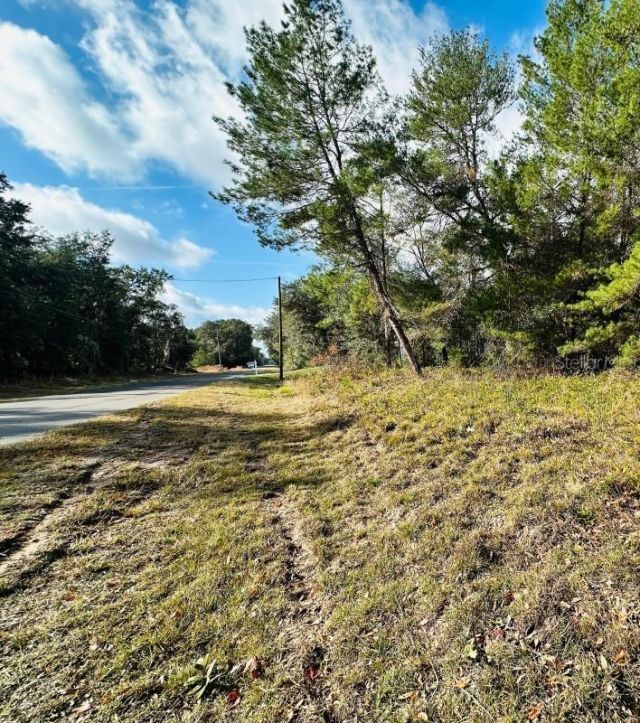 Se 141st Avenue, Ocklawaha, FL 32179
