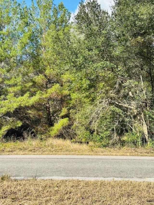 Se 141st Avenue, Ocklawaha, FL 32179