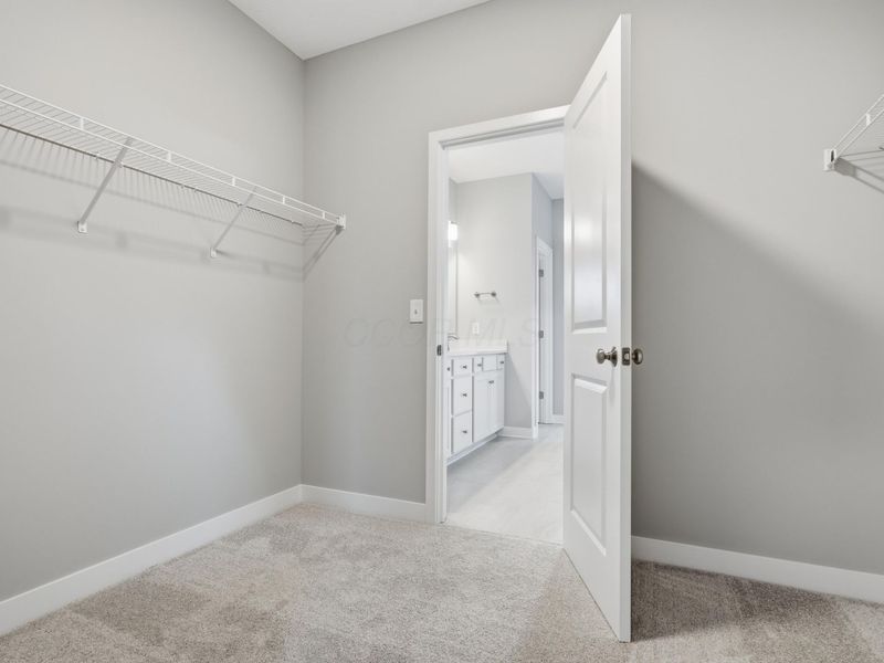 6954 Corsican Loop N, Hilliard, OH 43026 Photo 36