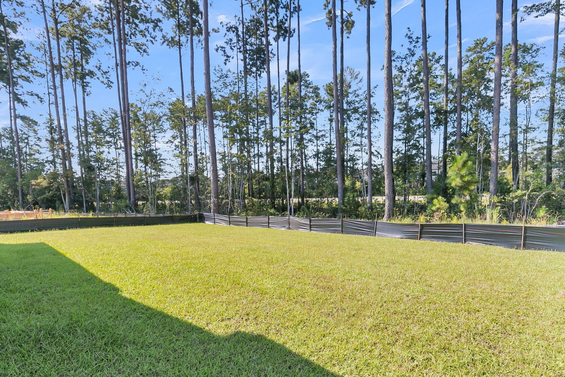739 Maynard Lane Photo 31