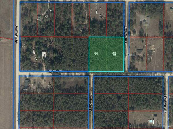 tbd SE 8TH STREET, WILLISTON, FL 32696