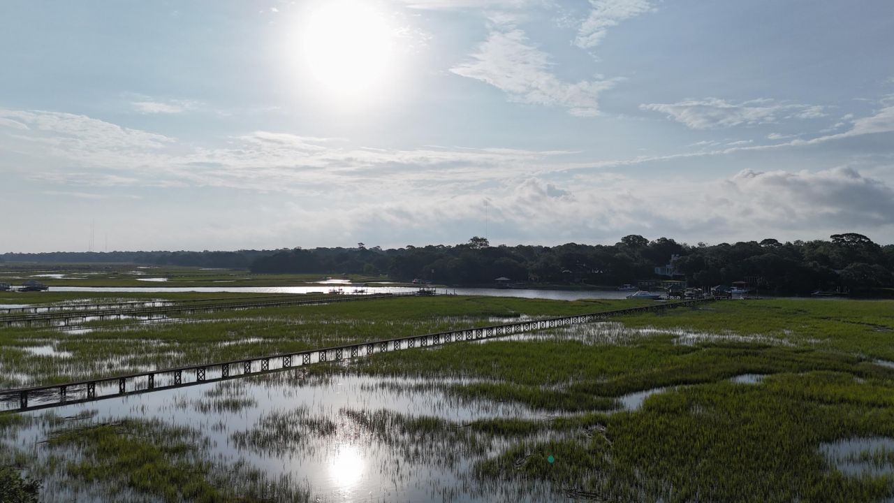 970 Cottingham Drive Photo 57