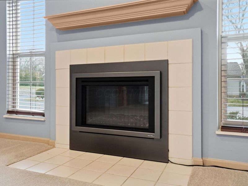 202 Deer Cross Lane, Powell, OH 43065 Photo 12