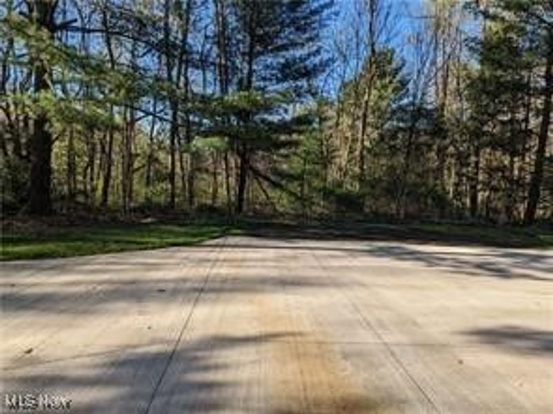 17802 Rapids Road, Hiram, OH 44234 Photo 14