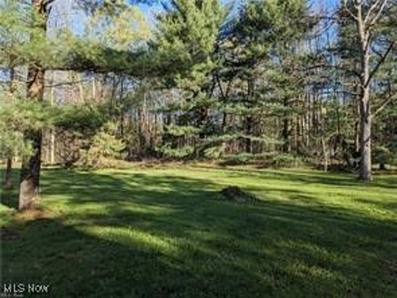 17802 Rapids Road, Hiram, OH 44234 Photo 15