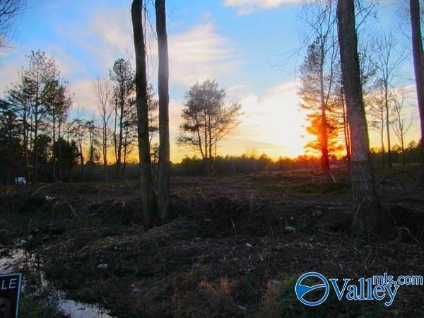 14 Hogs Lane, Albertville, AL 35951