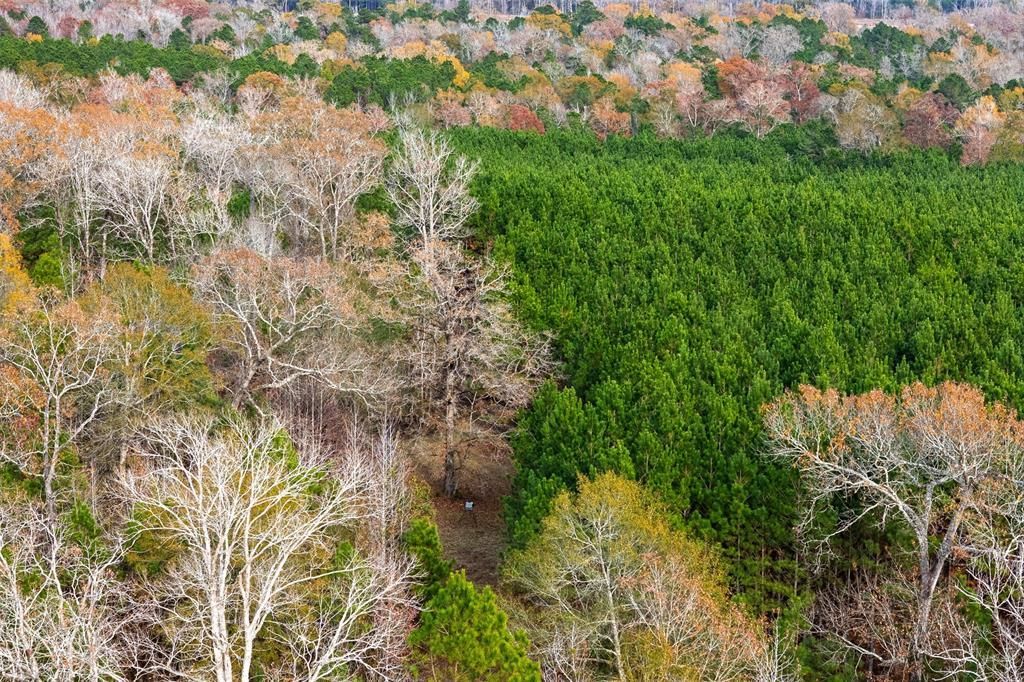 000 County Road 511, Kennard, TX 75847 Main Photo