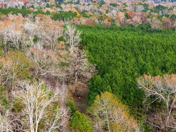 000 County Road 511, Kennard, TX 75847