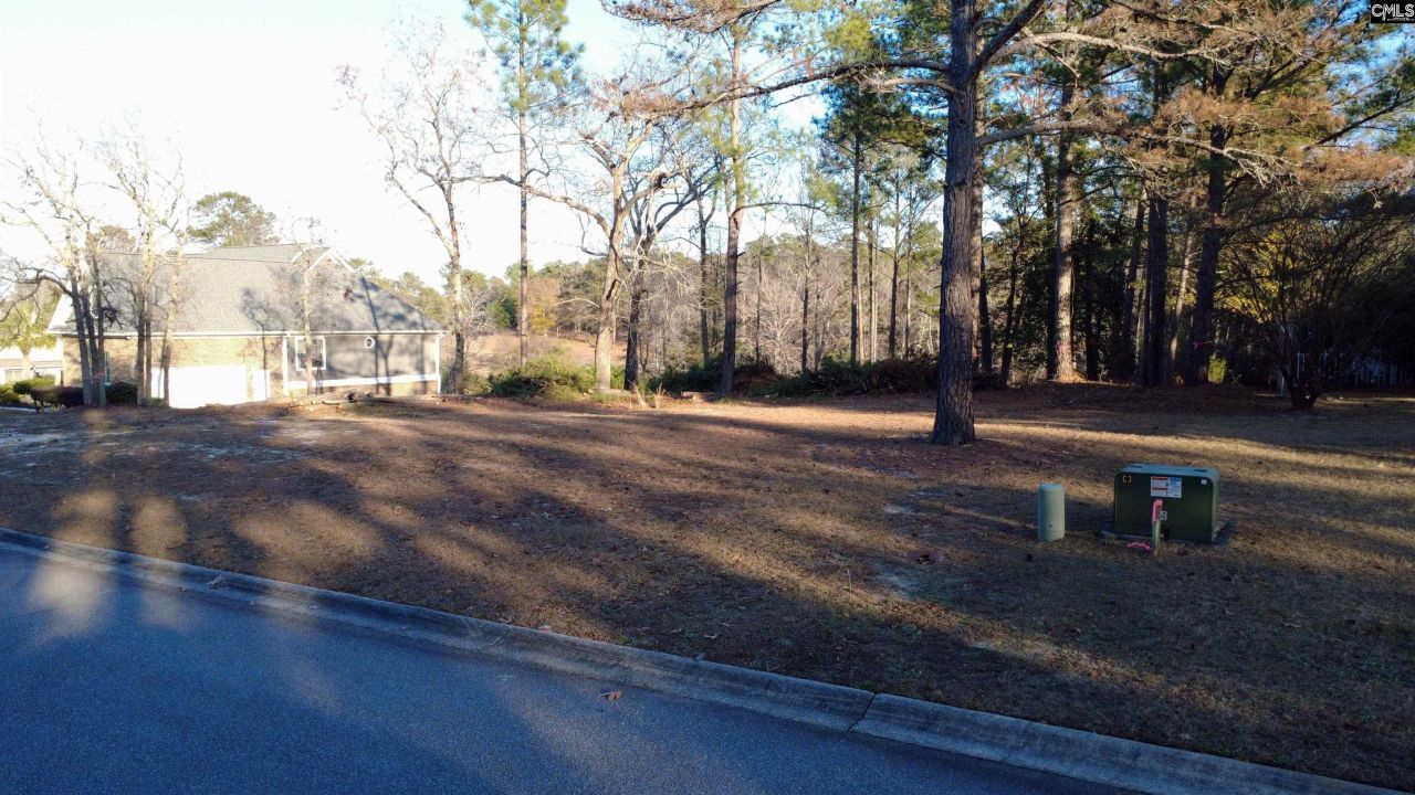 208 Crickentree Drive Photo 4