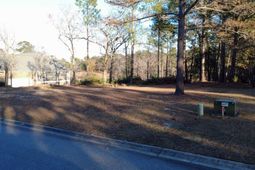 208 Crickentree Drive photo 4