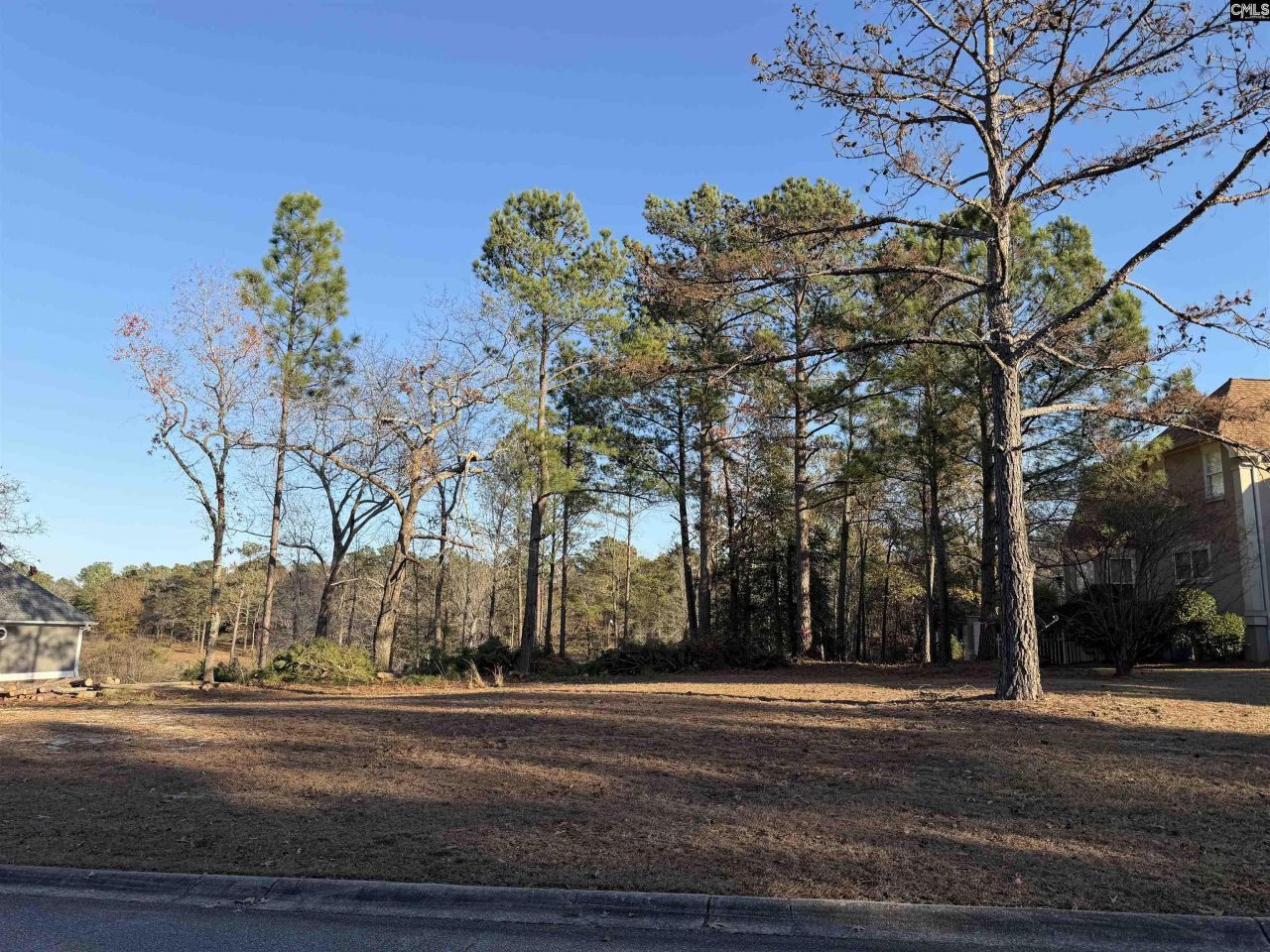 208 Crickentree Drive Photo 6