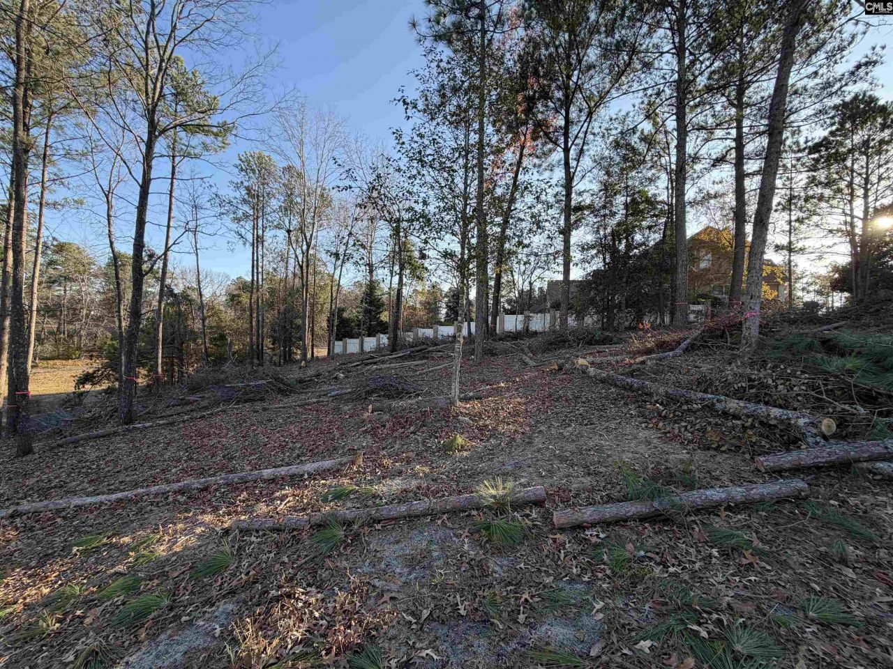 208 Crickentree Drive Photo 7