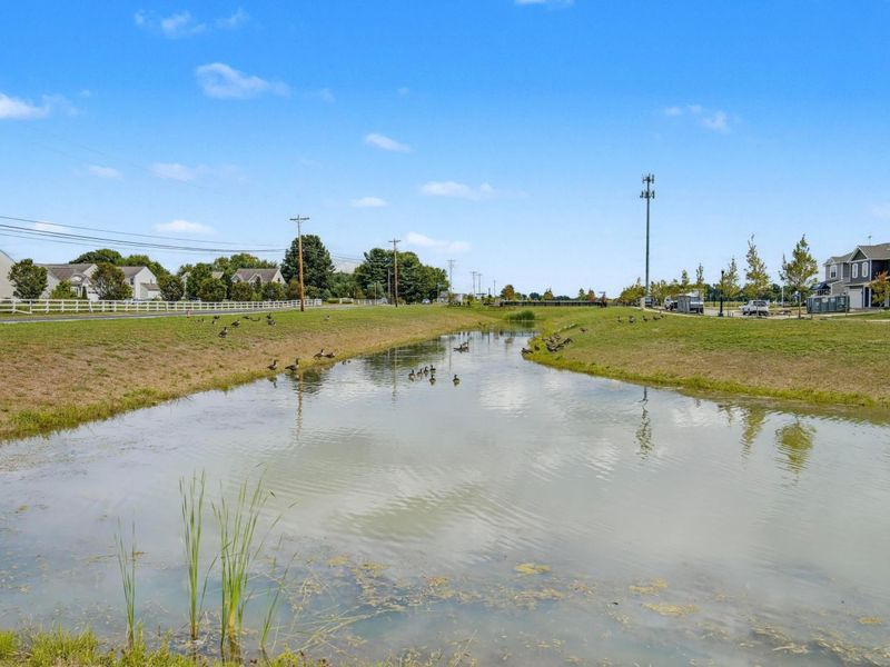 5766 Orchard Lakes Trail Drive, Canal Winchester, OH 43110 Photo 30