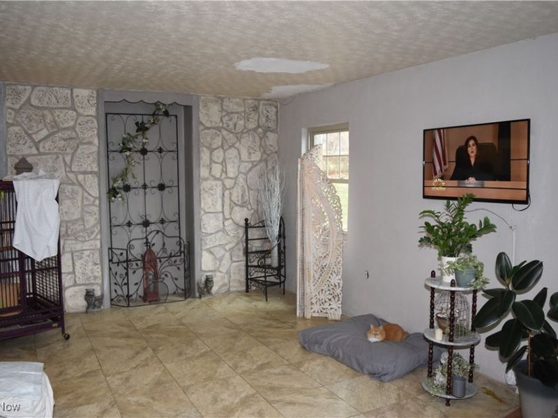 65141 Three Hills Drive, Bellaire, OH 43906 Photo 10