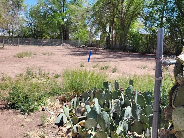 1302 Avenida Cristo Rey Avenue NW, Albuquerque, NM 87107