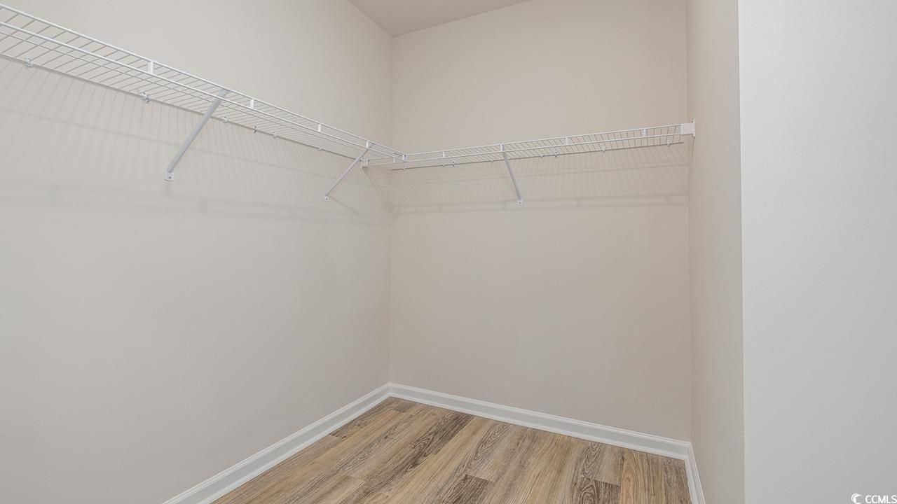 311 Ridley St Photo 18