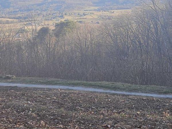 Greene Lane E Of, LaFollette, TN 37766