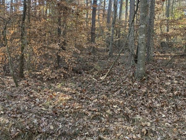 0 Butterfly South Court, Lavonia, GA 30553