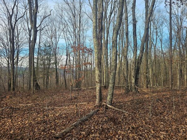 029    003 Smith Mountain, Dunlap, TN 37327