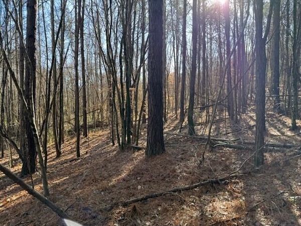 Lot 7 Hwy 11, Valley Head, AL 35989
