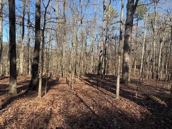 1 County Road 751, Unit Lot 1, Valley Head, AL 35989
