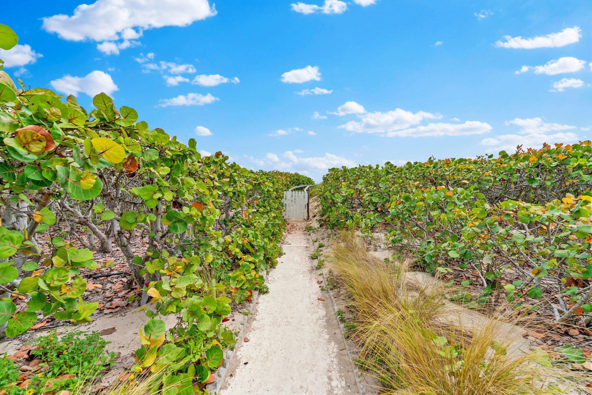 33 S Ocean Avenue, Unit 502, Palm Beach Shores, FL 33404 Photo