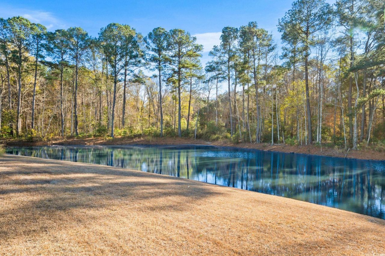 1728 Clove Estates Circle Photo 27