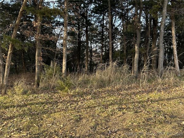 1 Sleepy Hollow Drive, Cleveland, OK 74020