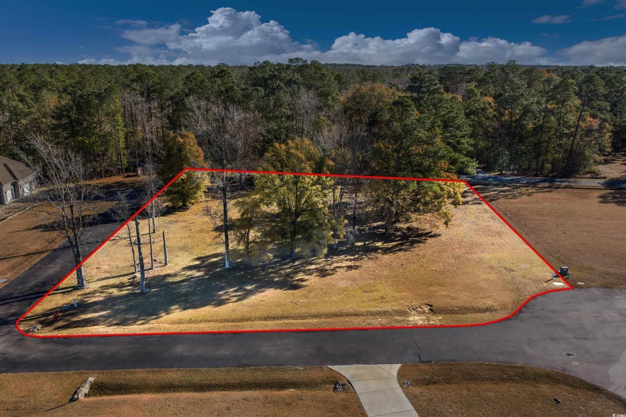 206 Mooney Ct. Photo 10