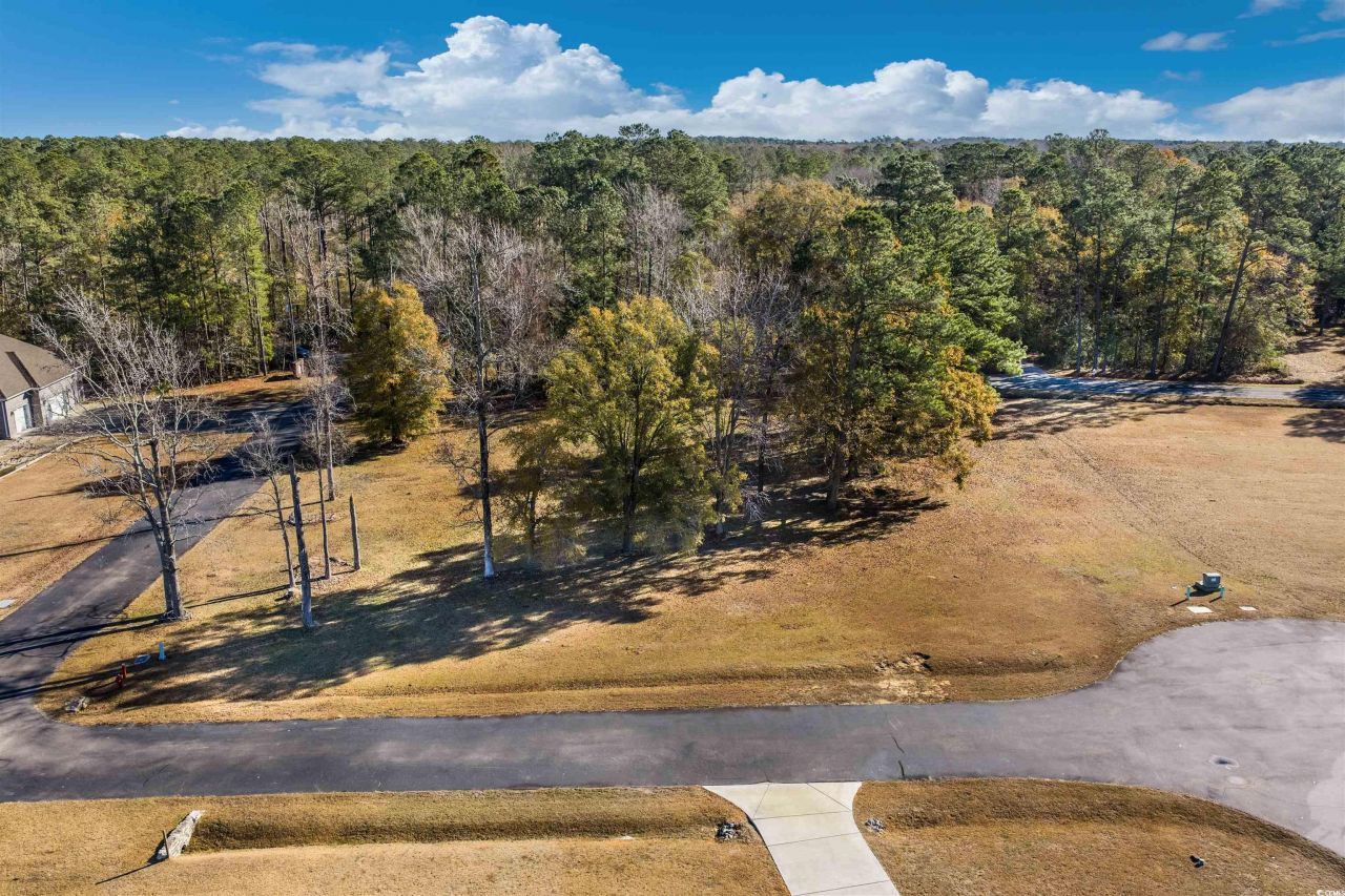 206 Mooney Ct. Photo 11