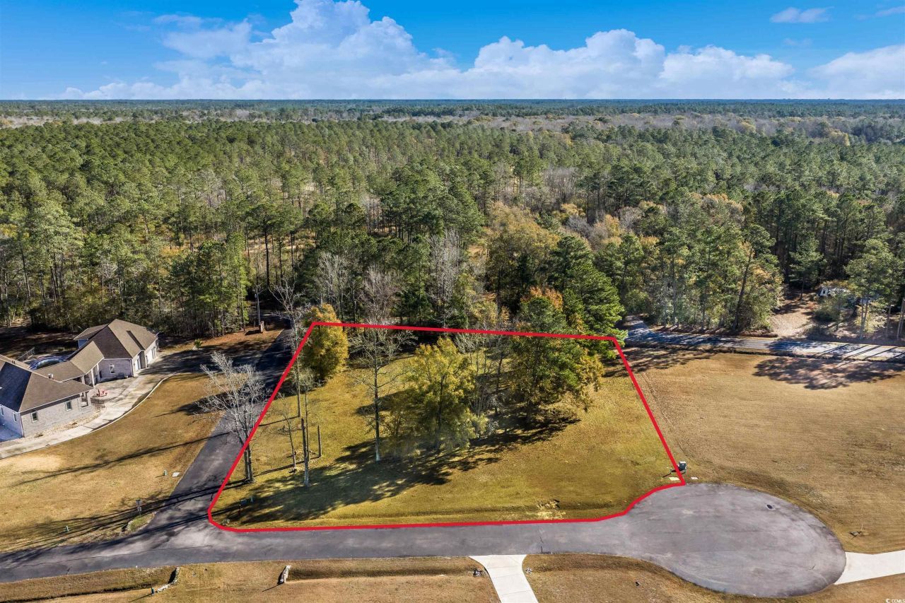 206 Mooney Ct. Photo 12