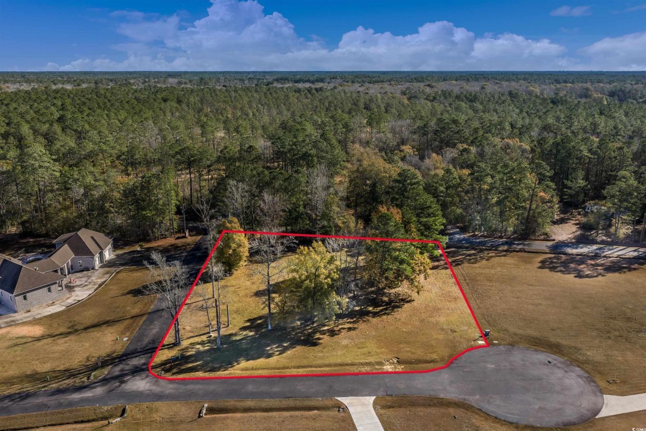 206 Mooney Ct. Photo 13