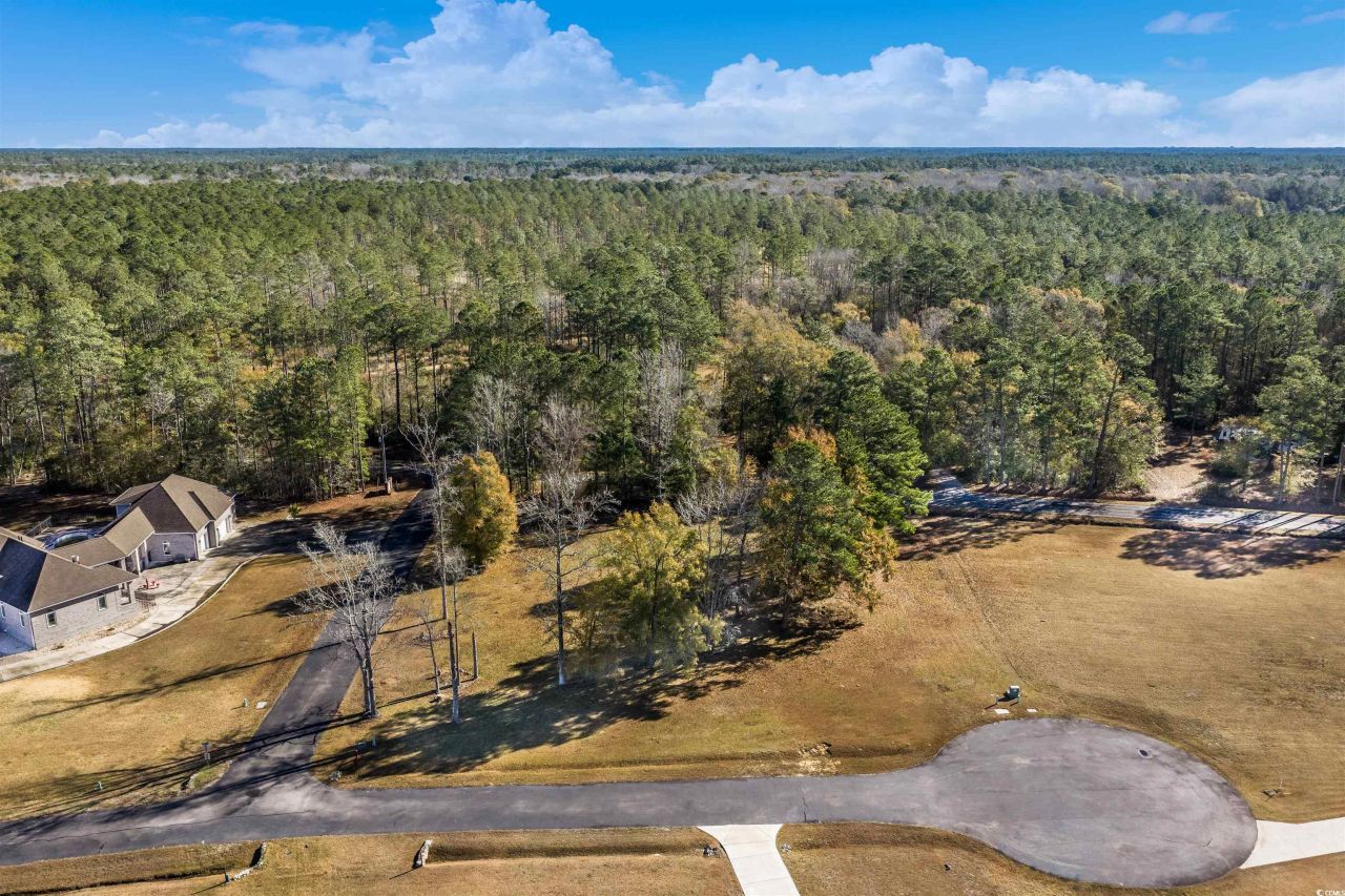 206 Mooney Ct. Photo 14