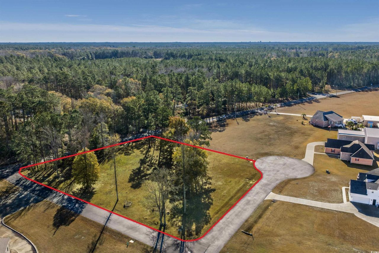 206 Mooney Ct. Photo 15