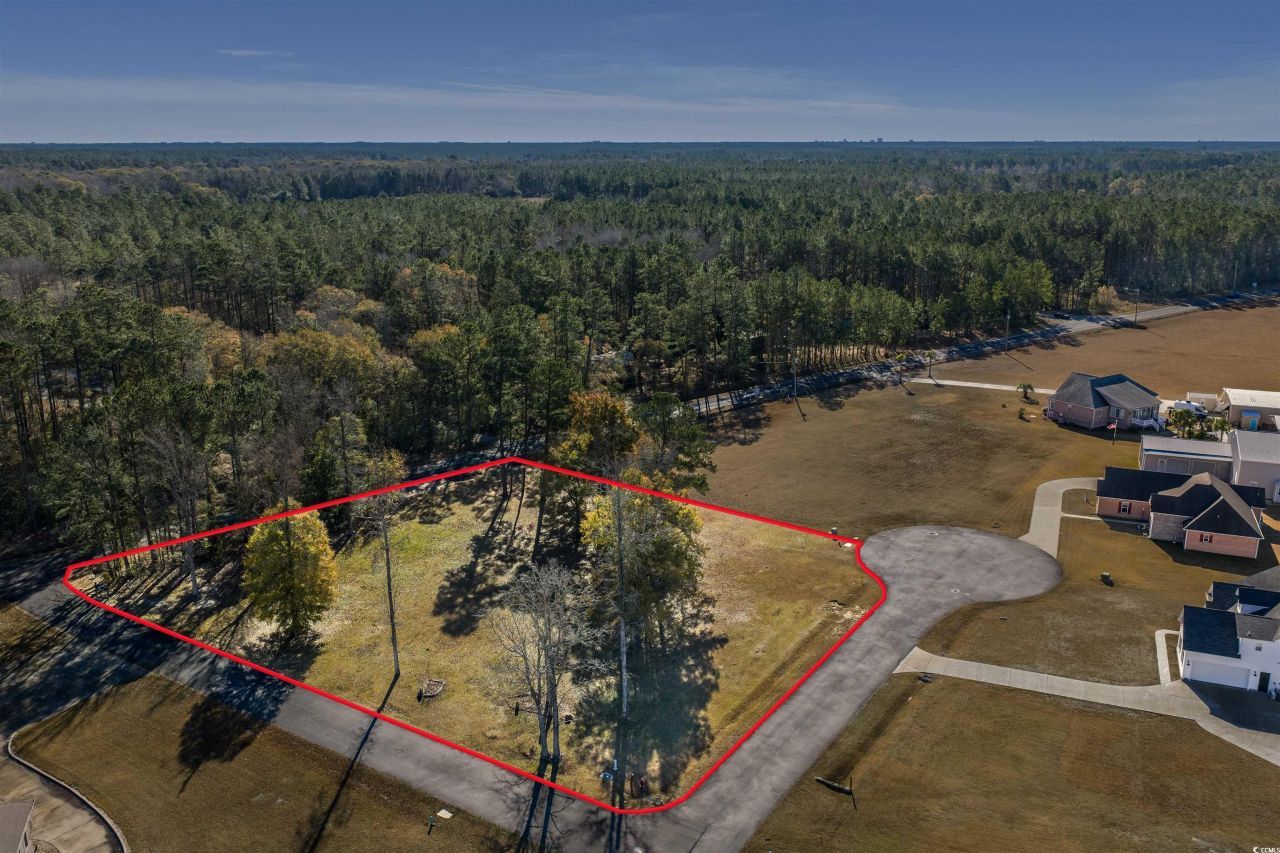 206 Mooney Ct. Photo 16