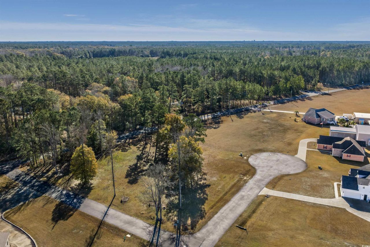 206 Mooney Ct. Photo 17