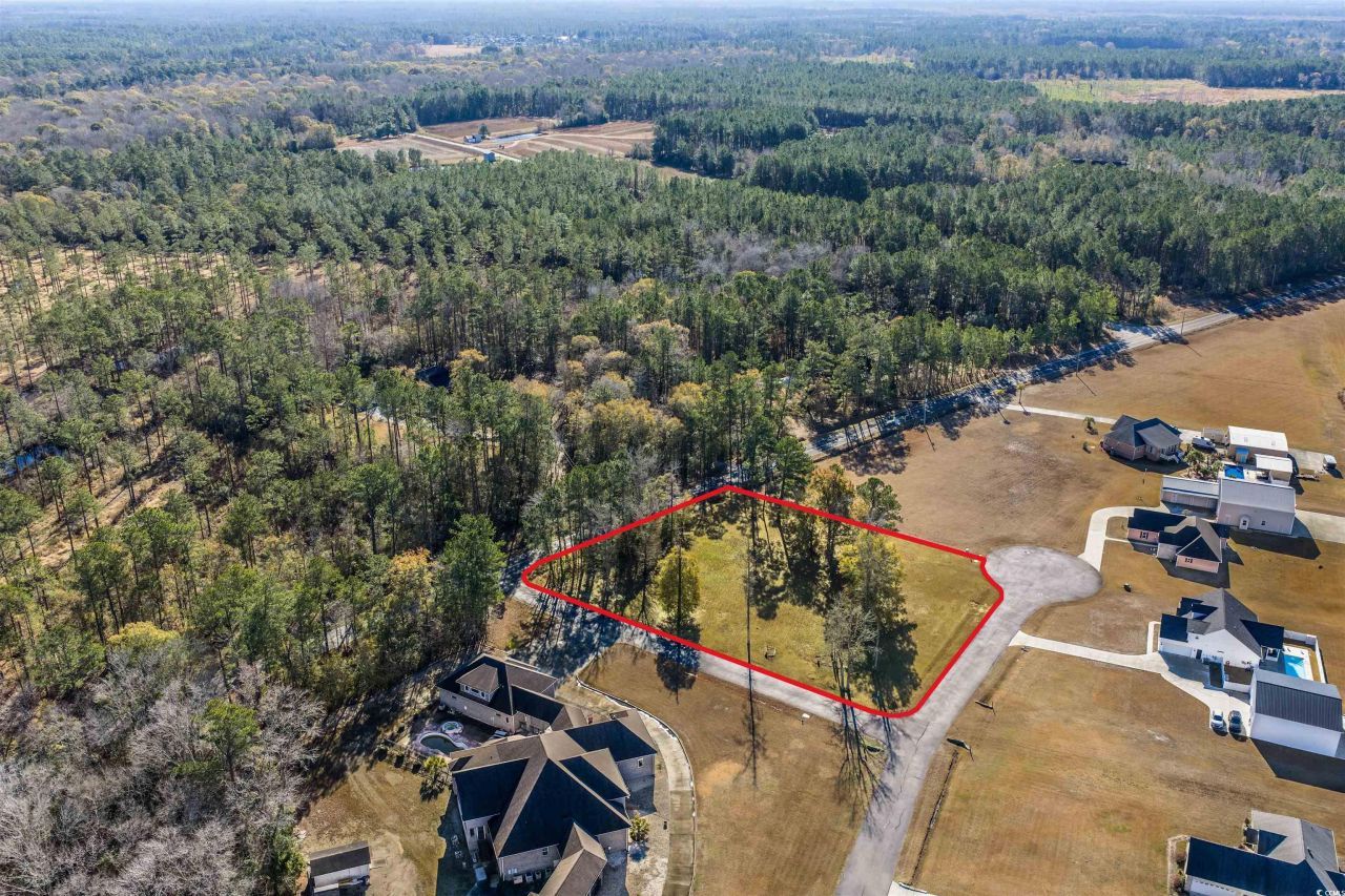 206 Mooney Ct. Photo 18