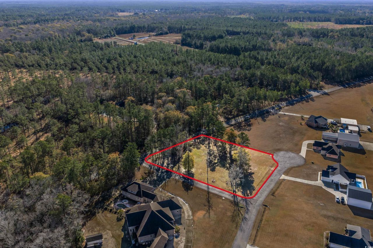 206 Mooney Ct. Photo 19