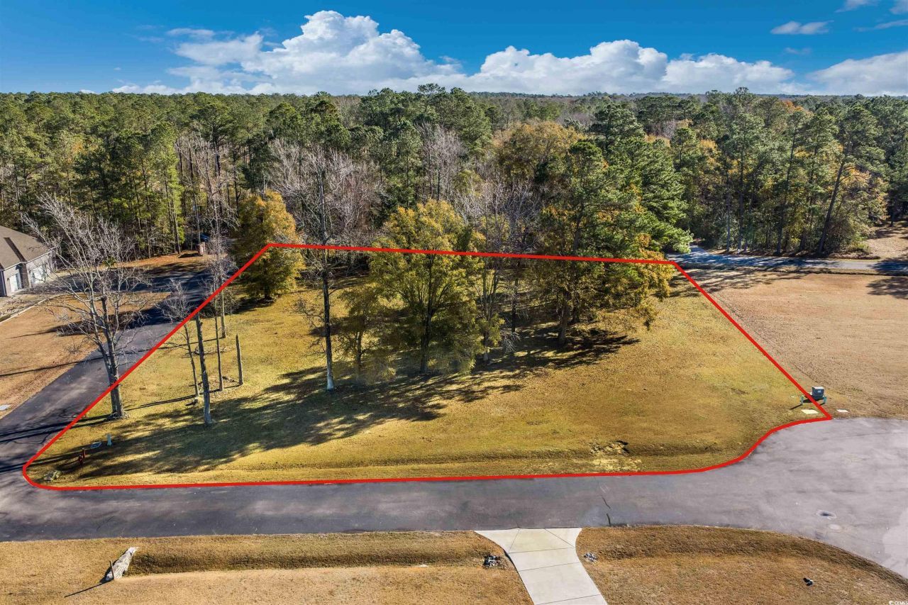 206 Mooney Ct. Photo 9