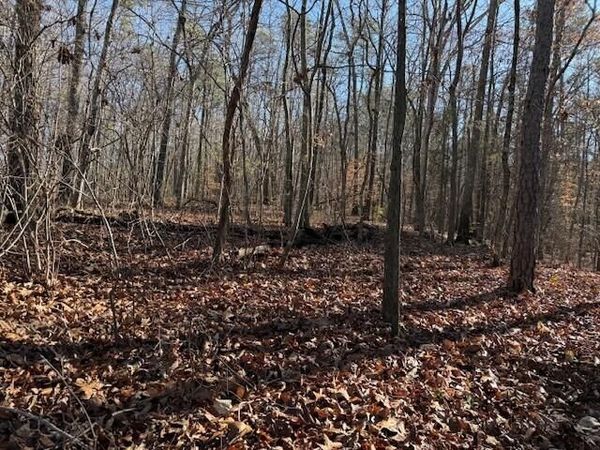 Lot 2 County Road 751, Valley Head, AL 35989