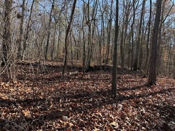 2 County Road 751, Unit Lot 2, Valley Head, AL 35989