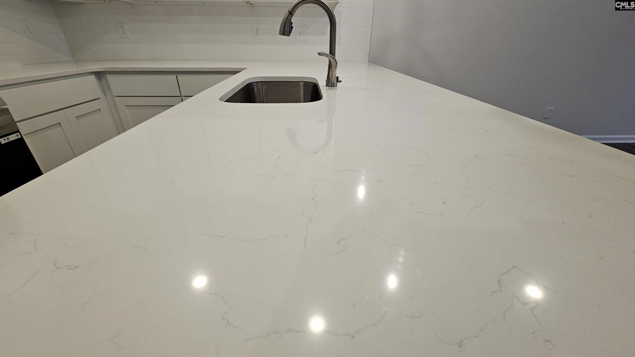 262 Sunny Hill Drive Photo 14