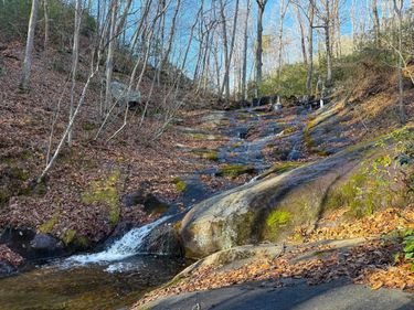 TBD JOHNSON HOLLOW, SCHUYLER, VA 22969