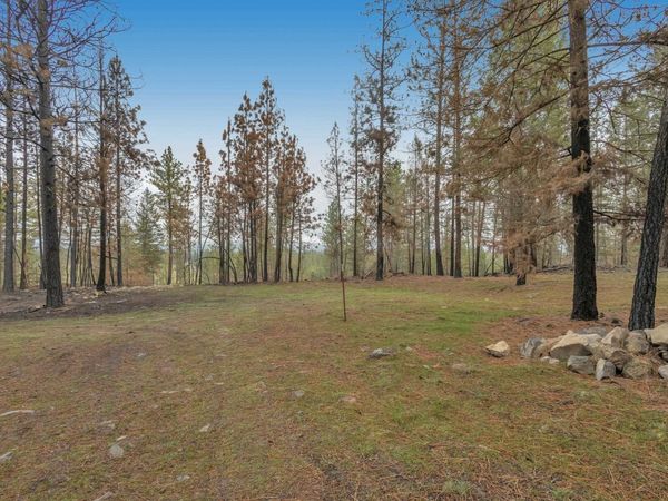 15817 Coyote Ridge Ln, Ford, WA 99013