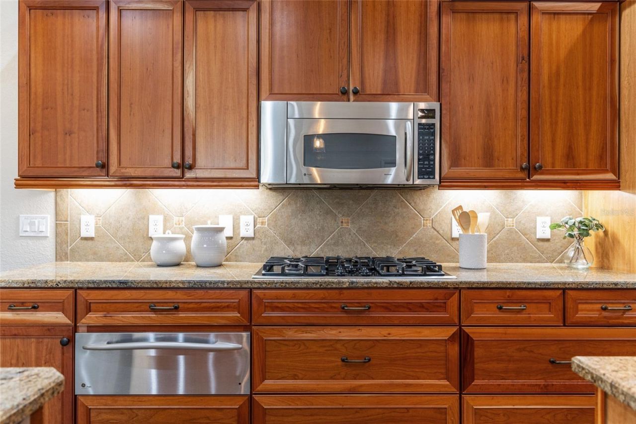 1568 Black Lake Drive, The Villages, FL 32162 Photo