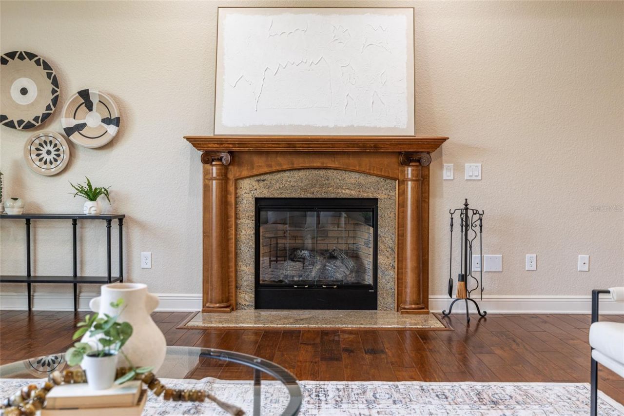 1568 Black Lake Drive, The Villages, FL 32162 Photo