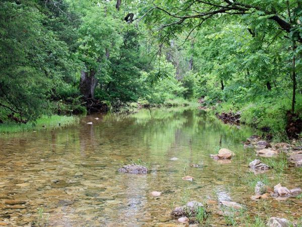 1245 CR 124, Calico Rock, AR 72519